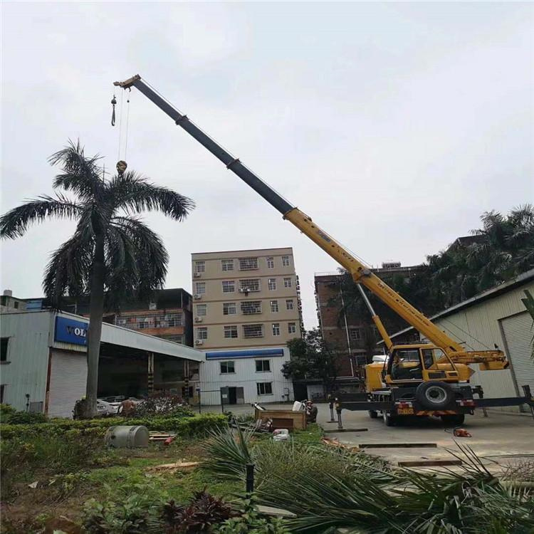 蒋湖农场汽车吊出租多少钱？全面解析与市场行情