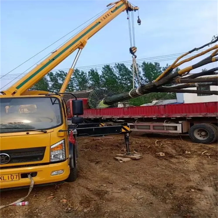 蒋湖农场100吨吊车租赁费用怎么算？3大关键因素+省钱技巧全解析